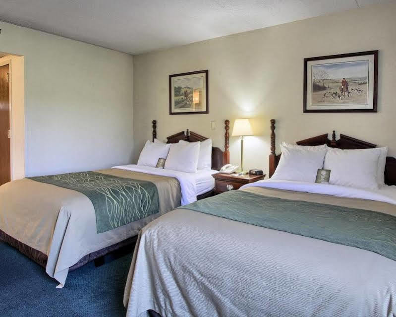 Super 8 By Wyndham Chambersburg I-81 Hotel Exterior photo